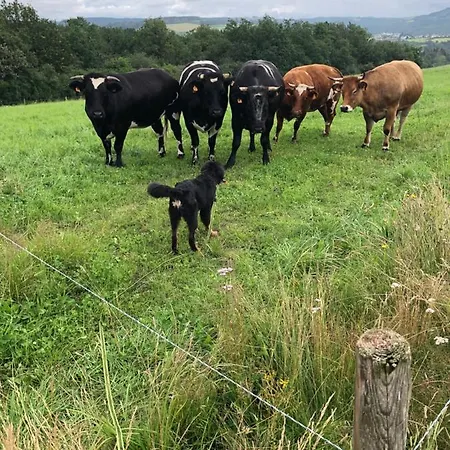 Hébergement de vacances 